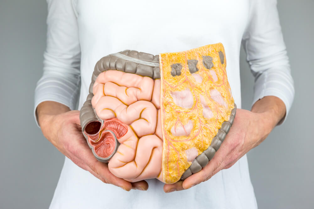 A Healthy Gut = A Smaller Gut