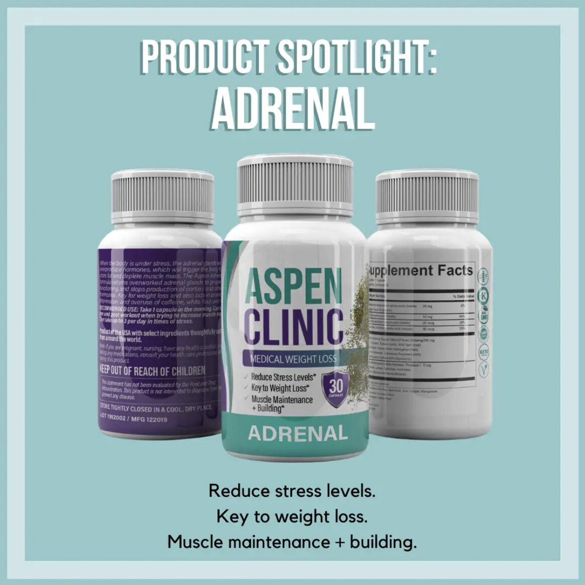Adrenal Spotlight