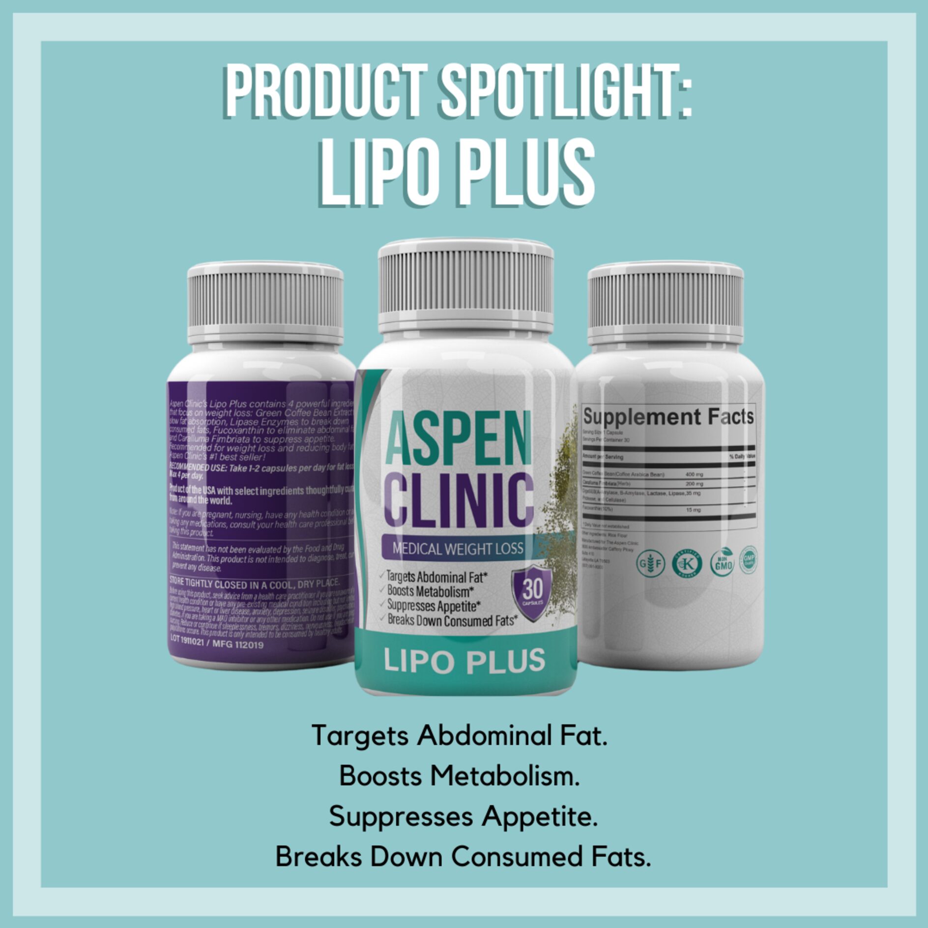 A photo of three pill bottles on a pale green background. White text reads: “Product Spotlight: Lipo Plus. Targets Abdominal Fat. Boosts Metabolism. Suppresses Appetite. Breaks Down Consumed Fats.